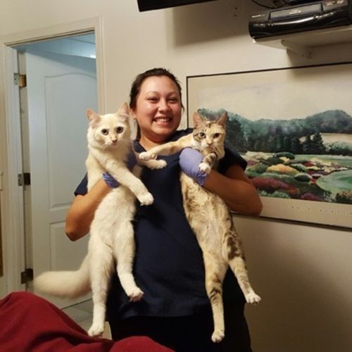 Elder Care Provider Latoya L's Profile Picture