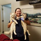 State Certified Caregiver,DCW,BHT,HHA