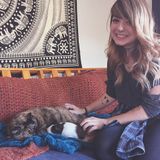 North Attleboro, Massachusetts Pet Sitter