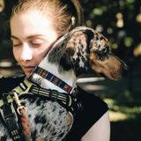 Newly San Diego located, with an extensive experience in both House and Pet Sitting!
