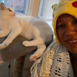 Petsitting