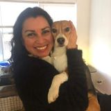 Manhattan Pet Trainer Looking For Being Hired