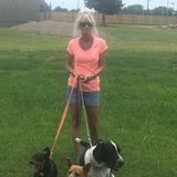 Pet Sitter/dog walker providing exceptional TLC in Pembroke Pines, Florida