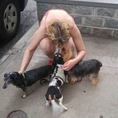 House Sitter Provider Pj G's Profile Picture