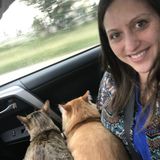 Employing a Disciplined Pet Sitter/House Sitter in Peoria