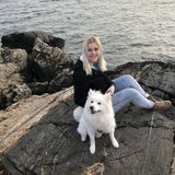 Looking For an Animal Caregiver Job in Logan