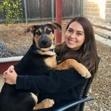Animal walker, feeder, and/or sitter in Goleta, CA!