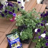Looking to start with a couple big spring garden projects with potential to hire for weekly weeding services for the summer.