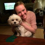 Pet Sitter or Dog Walker in Bloomington
