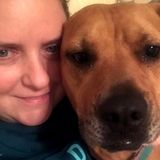 Interested In a Pet Sitting Professional Opportunity in Torrington