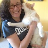 15+ Years of Cat Care Experience