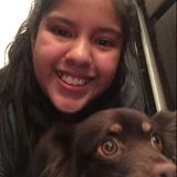Pet sitter any animal care