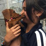 Safe Pet Sitting,$10 a night!(very cheap), friendly and responsible! (Doral, Florida)