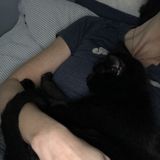27 Years In The Veterinary Field, Your Pet Is In Safe Hands.
