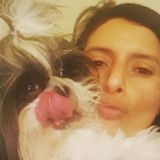 Woburn Pet Sitter Looking For Work