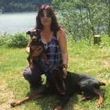Sitter needed for one Min Pin and one Doberman