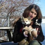 Please call Rebecca for a loving dogsitter or catsitter for your furbaby! I also look after farm animals as well.