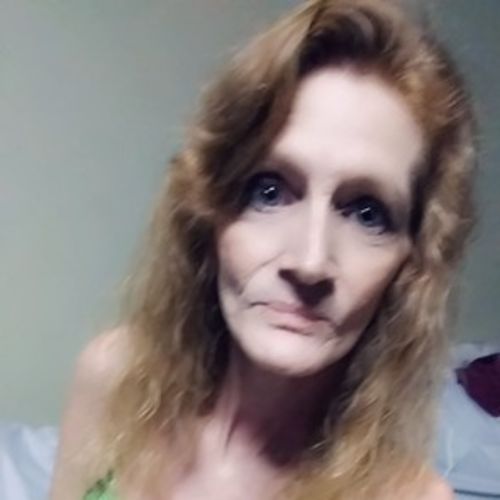 House Sitter Provider Lynn C's Profile Picture