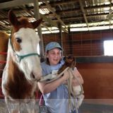 Exallent House Sitter Available Today: