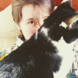 Trustworthy Pet Sitter in North Port