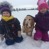 Flexible with Shift work, Nanny, Beaumont AB