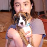 Vermont girl wants to watch your pets for you!