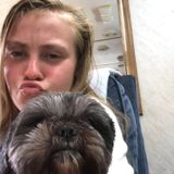 Interested In East Peoria Pet sitting, Illinois Jobs