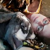 Experienced, Mature Pet Companion
