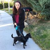 Most Polite Cat Sitter in Canyon Country