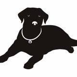 Hello I am Tom that I work for La Jolla pet care. We offer professional Pet sitting/dog walking for the La Jolla area