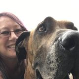 Flexible Petsitter in Corning