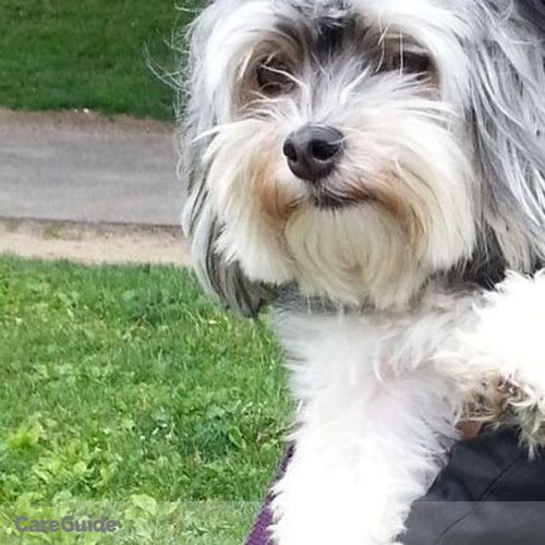 Pet Care Provider Leslie M's Profile Picture
