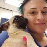 Huge animal lover, I offer TLC