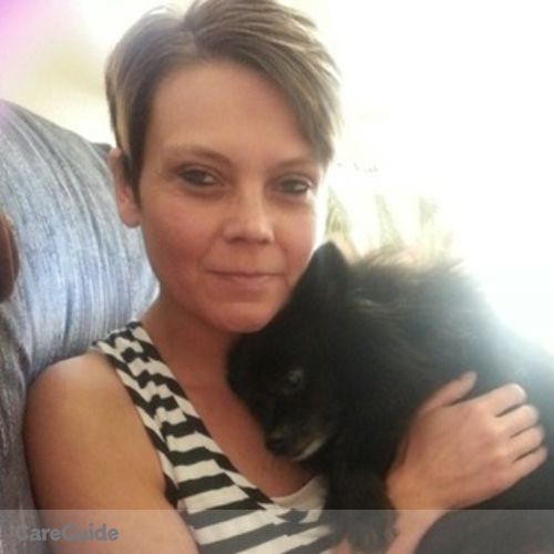 Pet Care Provider Mandy N's Profile Picture