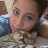Capable Pet Care Provider Available Immediately
