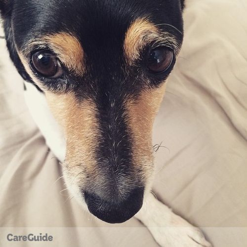 Pet Care Job Adrianna R's Profile Picture