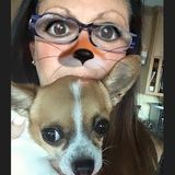 Most Hardworking House and Pet Sitter in Laguna vicinity