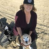 Reliable, experienced pet sitter who loves animals. Flexible and willing to stay all night if needed.