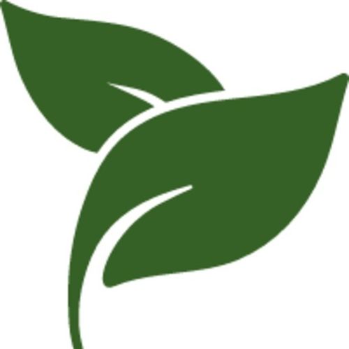 Housekeeper Provider GreenClean E's Profile Picture