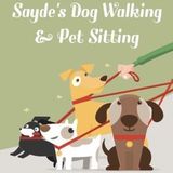 At Home Full Time Petsitter and Walker!