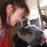 Well Trained Pet Sitting Professional Available Immediately