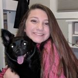 Hi! I've been obsessed with animals my whole life (especially dogs), and I'm down for taking care of your pets!