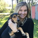 Interested In a Dog Walker Job in College Station, Texas