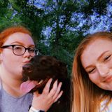 I am located in Lexington and am looking for A part time petsitting job.