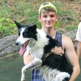For Hire: Pet Whisperer in Auburn