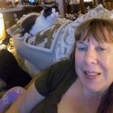 Tarpon Springs Pet Sitter Interested In Being Hired