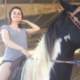 Im from Texas and Ive trained everything from dogs to horses, can provide overnight care, walks, training if needed,grooming