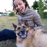 VERY experienced, available, and communicative pet lover!