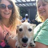 Loving Pet Sitting Available Now!