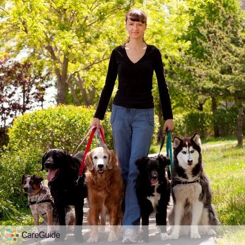 Pet Care Provider Agi's Dogs's Profile Picture